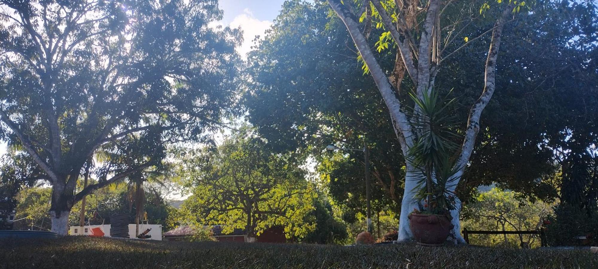 Fazenda Riachao Villa Pojuca Exterior photo